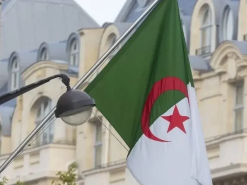 زيادات تفرّح الجميع..رفع معاشات ومنح المتقاعدين 2025 في الجزائر يشمل الأرامل واليتامى قرار حكومي